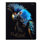 Тетрадь 48 листов в клетку на скрепке "Благородные птицы", матовая ламинация, 3D фольга, МИКС (комплект 5 шт) - фото 23839335