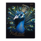 Тетрадь 48 листов в клетку на скрепке "Благородные птицы", матовая ламинация, 3D фольга, МИКС (комплект 5 шт) - фото 23839337