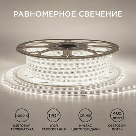 Светодиодная лента Apeyron 220В, 10x7 мм, SMD2835, 50 м, IP65, 6 Вт/м, 60 LED/м, 4000К 10372091