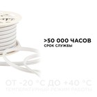 Гибкий неон Apeyron 8 × 16 мм, IP65, 50 м, SMD2835, 120 LED/м, 10 Вт/м, 220 В, свечение тёплое белое - Фото 5