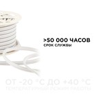 Гибкий неон Apeyron 8 × 16 мм, IP65, 50 м, SMD2835, 120 LED/м, 10 Вт/м, 220 В, свечение холодное белое - фото 23839406