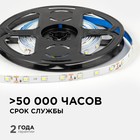 Светодиодная лента Apeyron 12В, SMD2835, 5 м, IP20, 4.8Вт/м, 60 LED/м, 6500К - фото 5272268