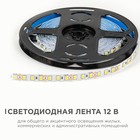 Светодиодная лента Apeyron 12В, SMD2835, 5 м, IP20, 9.6Вт/м, 120 LED/м, 4000К - фото 23839479