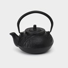 Чайник чугунный, 600 мл, с ситом, эмалированное покрытие внутри, цвет чёрный - фото 298840224