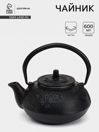 Чайник, 600 мл, с ситом, эмалированное покрытие внутри, чугун, чёрный - Фото 1