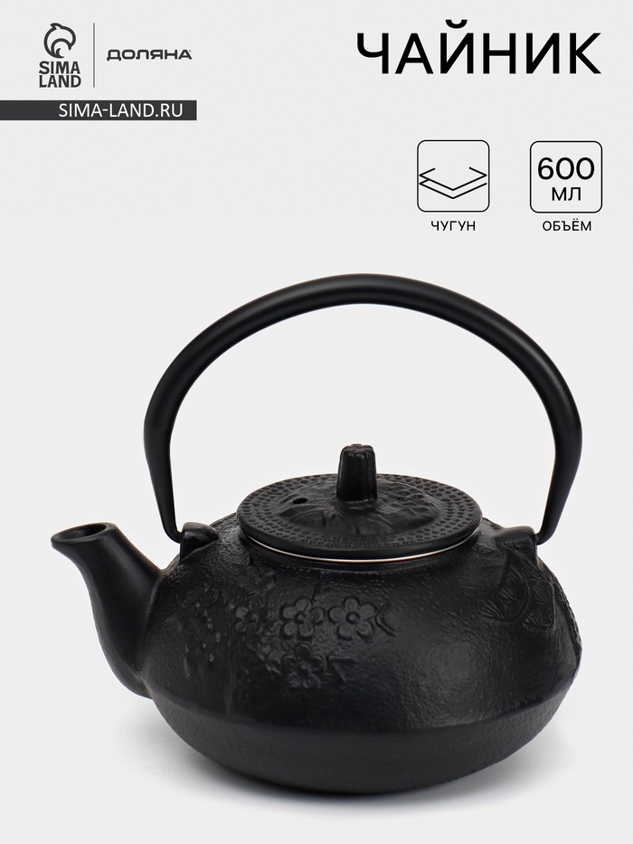 Чайник, 600 мл, с ситом, эмалированное покрытие внутри, чугун, чёрный - Фото 1