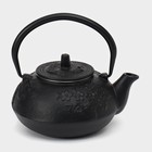 Чайник чугунный, 600 мл, с ситом, эмалированное покрытие внутри, цвет чёрный - фото 4504558
