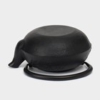 Чайник, 600 мл, с ситом, эмалированное покрытие внутри, чугун, чёрный - Фото 5