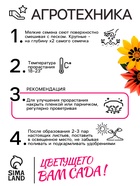 Семена цветов Гацания "Муза", крупноцветковая смесь, 0,1 г (комплект 3 шт) - фото 39466650