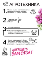 Семена цветов Алиссум «Ежевичные меренги», 5 шт. - Фото 4