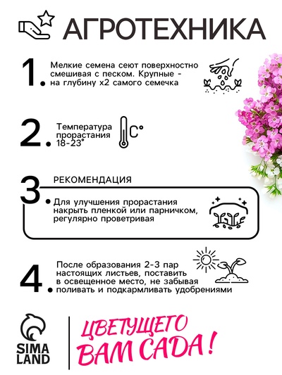 Семена цветов Алиссум «Ежевичные меренги», 5 шт., «Рецепты дедушки Никиты»