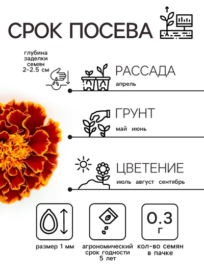 Семена цветов Бархатцы отклонённые «Медок», смесь, 0.3 г, «Рецепты дедушки Никиты»