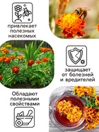 Семена цветов Бархатцы отклонённые «Медок», смесь, 0.3 г, «Рецепты дедушки Никиты» - Фото 3