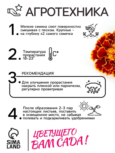 Семена цветов Бархатцы отклонённые «Медок», смесь, 0.3 г, «Рецепты дедушки Никиты»