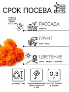 Семена цветов Бархатцы отклонённые «Мандарин», махровые, 0.3 г - Фото 2