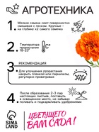 Семена цветов Бархатцы отклонённые «Мандарин», махровые, 0.3 г - Фото 4