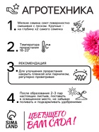 Семена цветов Георгин "Махровая смесь", 0,3 г - Фото 4