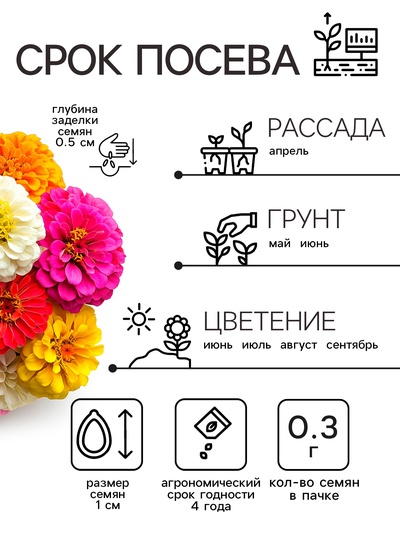 Семена цветов цинния «Калифорнийские гиганты», смесь, 0.3 г