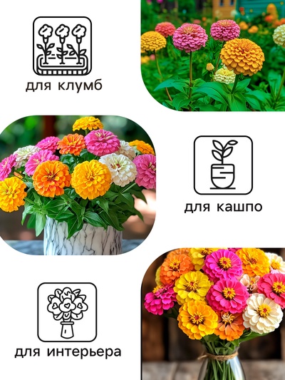 Семена цветов цинния «Калифорнийские гиганты», смесь, 0.3 г