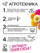 Семена цветов Цинния "Калифорнийские гиганты" смесь, 0,3 г - Фото 4