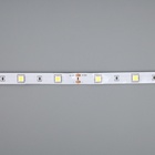 Светодиодная лента ЭРА 12В, SMD5050, 5 м, IP20, 7.2Вт/м, 30 LED/м, 6500К - фото 5272300