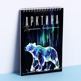 Блокнот «Арктика», А5, 40 л, картон 10207392