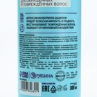 Шампунь для волос, очищение и укрепление, 300 мл, аромат ежевики, TROPIC BAR by URAL LAB - Фото 7