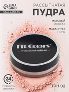 Пудра для лица, рассыпчатая, тон 02 - Фото 1