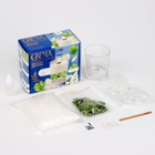 Свеча своими руками. Создание ароматической свечи с сухоцветами «Зеленое яблоко», набор для творчества - Фото 2