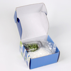 Свеча своими руками. Создание ароматической свечи с сухоцветами «Зеленое яблоко», набор для творчества - Фото 6