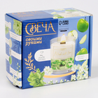 Свеча своими руками. Создание ароматической свечи с сухоцветами «Зеленое яблоко», набор для творчества - Фото 7