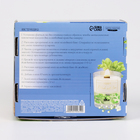 Свеча своими руками. Создание ароматической свечи с сухоцветами «Зеленое яблоко», набор для творчества - Фото 8