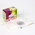 Свеча своими руками. Создание ароматической свечи с сухоцветами «Виноград», набор для творчества - Фото 2