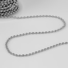 Цепочка для сумки, железная, d=3.2 мм, 10±0.5 м, цвет серебряный - Фото 3