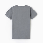 Футболка для мальчика,, цвет серый/лев, рост 140 - фото 25281699