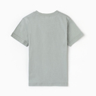 Футболка для мальчика, цвет светло-серый/динозавр, рост 128 10374698