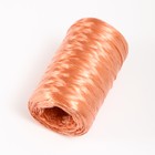 Пряжа "Для вязания мочалок" 100% полипропилен 400м/100±10 гр (набор 5 шт. МИКС №9 - Фото 3