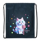 Мешок для обуви 435 х 360 мм, Stavia (плотность 600D с водоотталкивающей ПУ-пропиткой) Sweet cat - фото 23952577