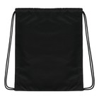 Мешок для обуви 435 х 360 мм, Stavia (плотность 600D с водоотталкивающей ПУ-пропиткой) Sweet cat - фото 23952578