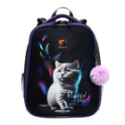 Рюкзак каркасный школьный 38×30×16 см, эргономичная спинка, Stavia «Кот и перья», синий - Фото 3