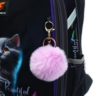 Рюкзак каркасный школьный 38×30×16 см, эргономичная спинка, Stavia «Кот и перья», синий - Фото 10