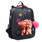 Рюкзак каркасный школьный 38 х 30 х 16 см, эргономичная спинка, Stavia "Йорки", серый - фото 23975819