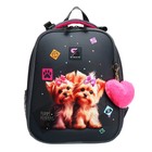 Рюкзак каркасный школьный 38 х 30 х 16 см, эргономичная спинка, Stavia "Йорки", серый - фото 23975820