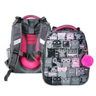 Рюкзак каркасный школьный 38×30×16 см, эргономичная спинка, Stavia «Кошачья семейка», серый - Фото 1