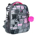 Рюкзак каркасный школьный 38×30×16 см, эргономичная спинка, Stavia «Кошачья семейка», серый - Фото 2