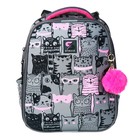 Рюкзак каркасный школьный 38×30×16 см, эргономичная спинка, Stavia «Кошачья семейка», серый - Фото 3