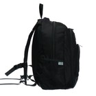 Рюкзак молодёжный, 42 х 31 х 13 см, эргономичная спинка, Stavia "Shiny cat", чёрный - фото 9538159