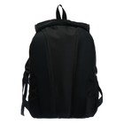 Рюкзак молодёжный, 42 х 31 х 13 см, эргономичная спинка, Stavia "Shiny cat", чёрный - фото 9538161
