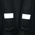 Рюкзак молодёжный, 42 х 31 х 13 см, эргономичная спинка, Stavia "Shiny cat", чёрный - фото 9538165