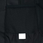 Рюкзак молодёжный, 42 х 31 х 13 см, эргономичная спинка, Stavia "URBAN2", чёрный - фото 9538184